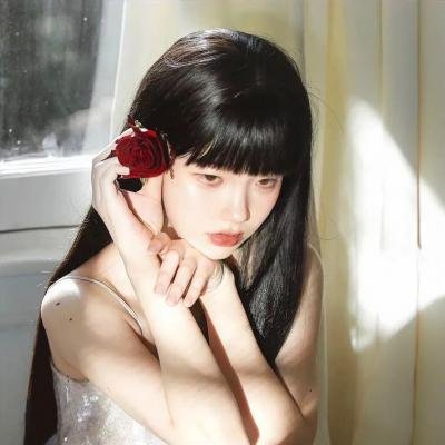 被争论的女人封面