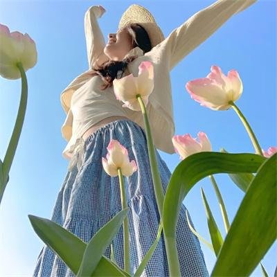 巴阿里亚封面
